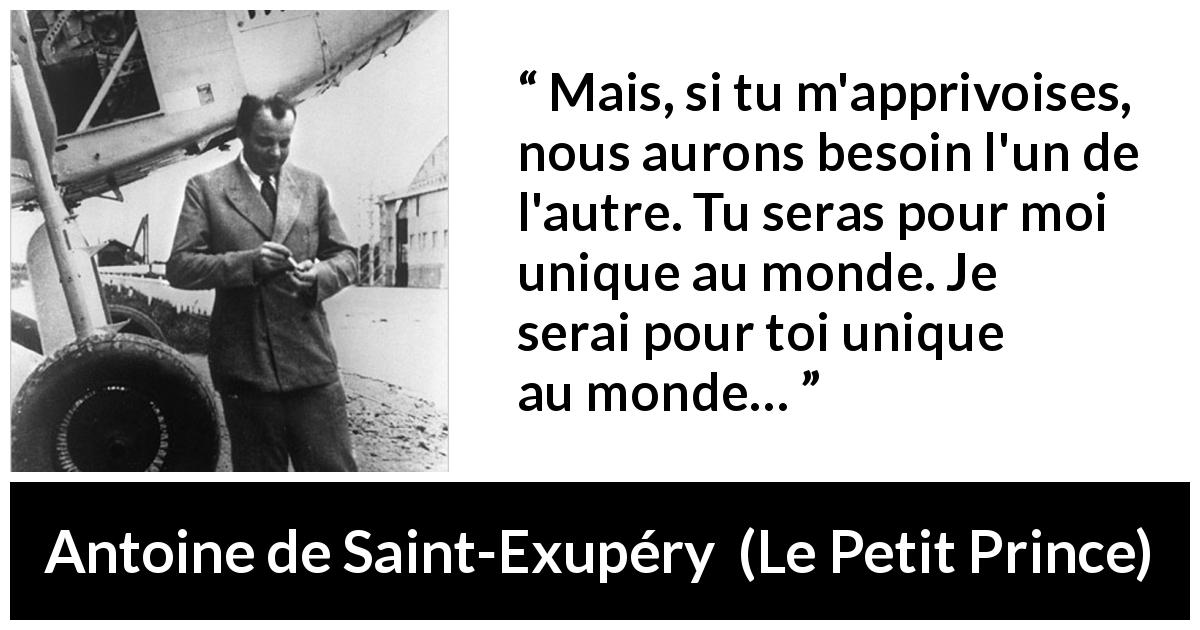 Antoine de Saint Exupéry Mais si tu m apprivoises nous