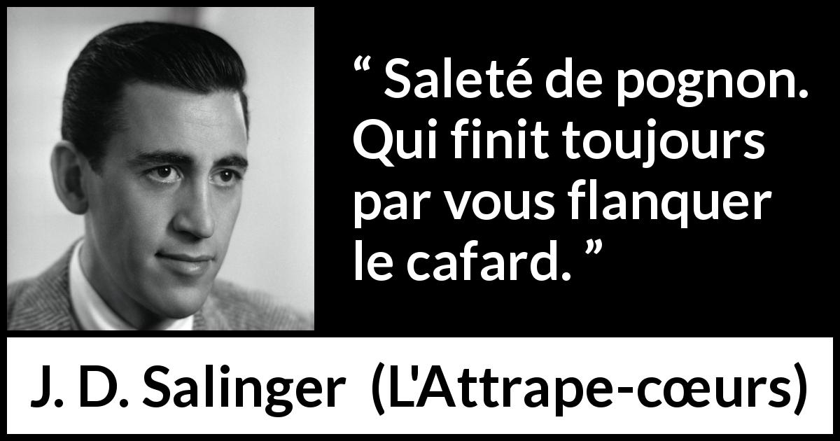 Citations Sur Cafard Kwize