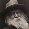 Walt Whitman quotes