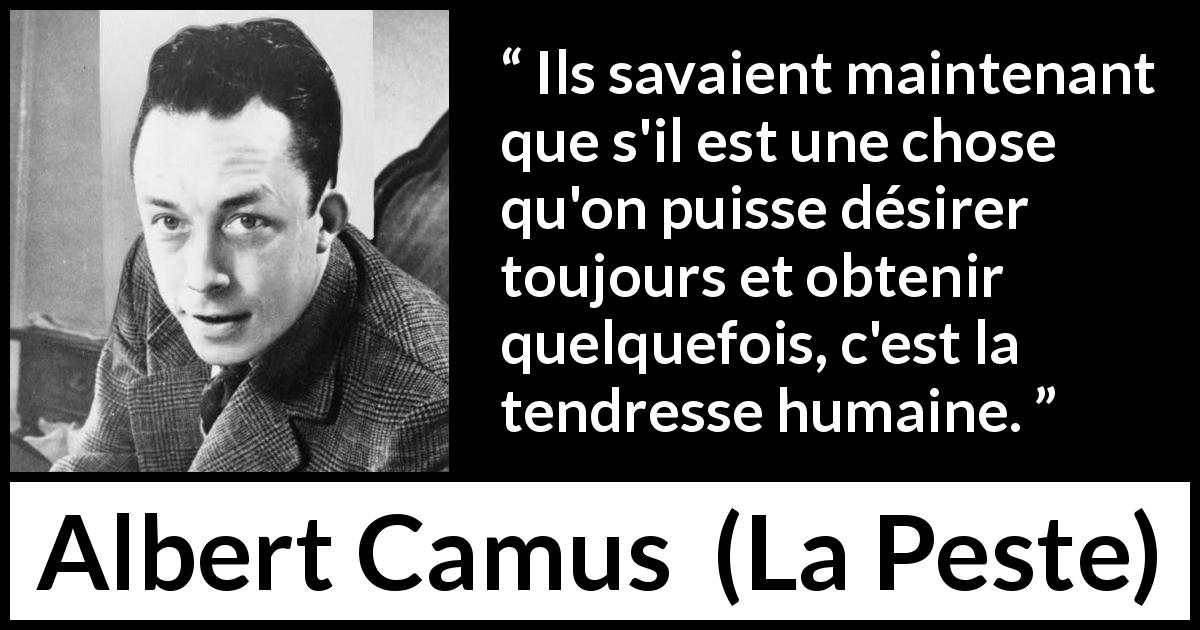Citation d'Albert Camus sur le désir tirée de La Peste - Ils savaient maintenant que s'il est une chose qu'on puisse désirer toujours et obtenir quelquefois, c'est la tendresse humaine.