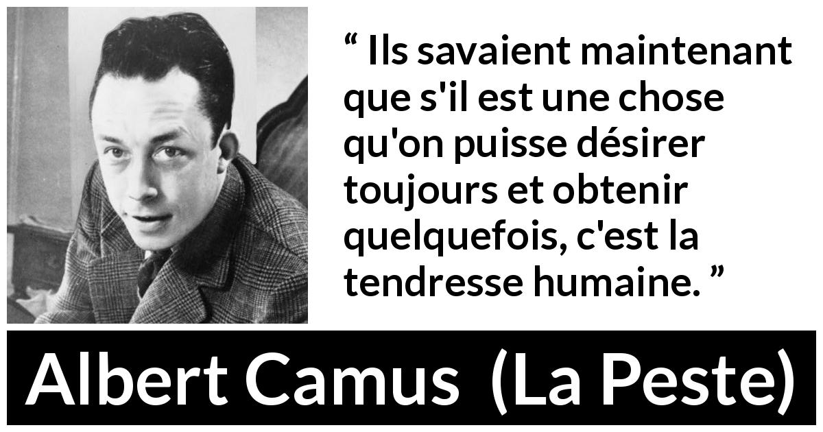 Citation d'Albert Camus sur le désir tirée de La Peste - Ils savaient maintenant que s'il est une chose qu'on puisse désirer toujours et obtenir quelquefois, c'est la tendresse humaine.
