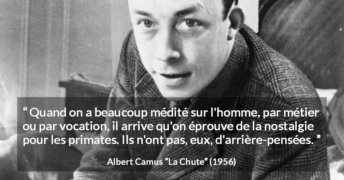 Citation d'Albert Camus sur l'humanité tirée de La Chute - Quand on a beaucoup médité sur l'homme, par métier ou par vocation, il arrive qu'on éprouve de la nostalgie pour les primates. Ils n'ont pas, eux, d'arrière-pensées.