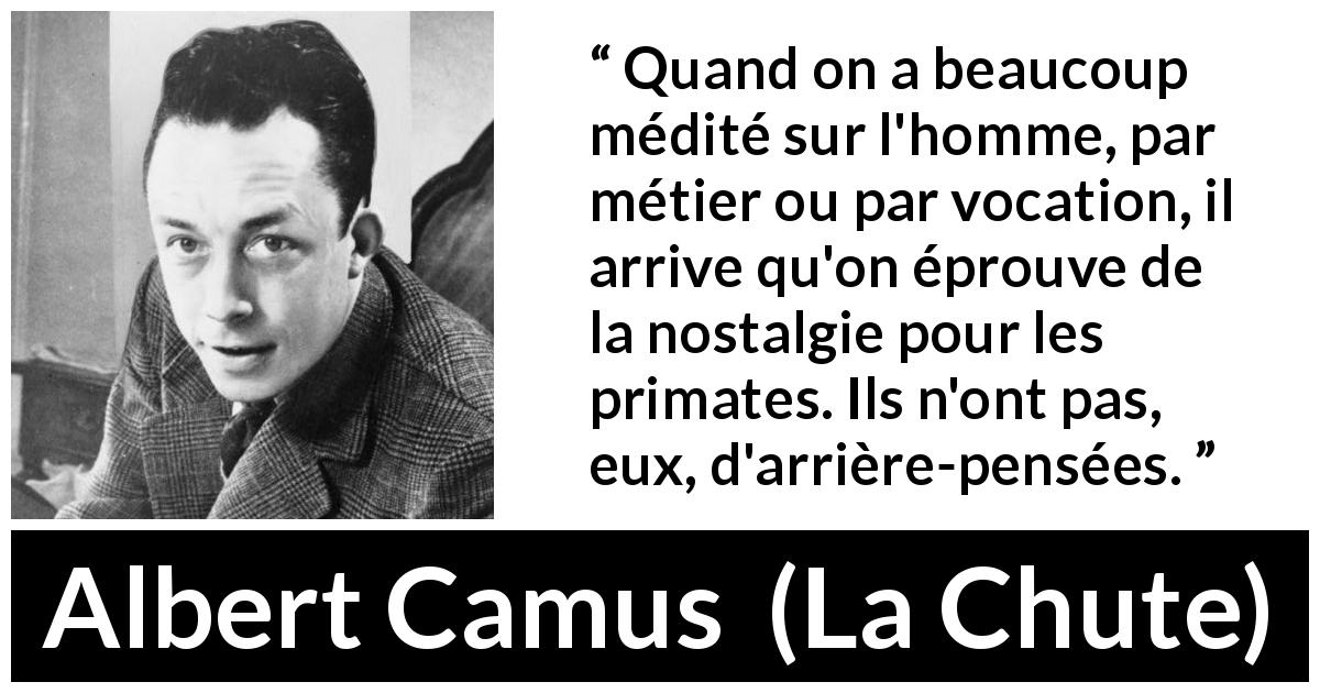 Citation d'Albert Camus sur l'humanité tirée de La Chute - Quand on a beaucoup médité sur l'homme, par métier ou par vocation, il arrive qu'on éprouve de la nostalgie pour les primates. Ils n'ont pas, eux, d'arrière-pensées.