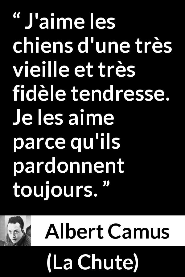 Citation d'Albert Camus sur le pardon tirée de La Chute - J'aime les chiens d'une très vieille et très fidèle tendresse. Je les aime parce qu'ils pardonnent toujours.