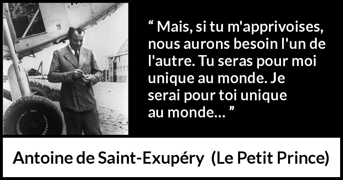 Citation d'Antoine de Saint-Exupéry sur le besoin tirée du Petit Prince - Mais, si tu m'apprivoises, nous aurons besoin l'un de l'autre. Tu seras pour moi unique au monde. Je serai pour toi unique au monde…
