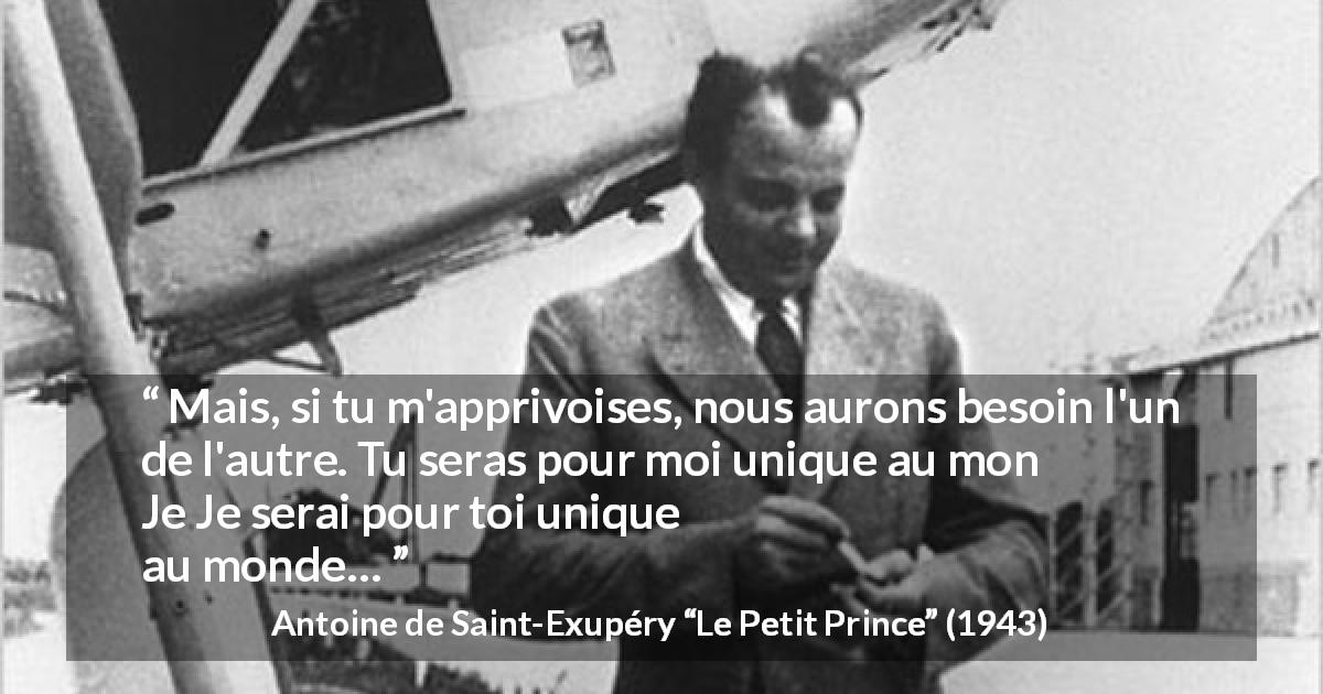Citation d'Antoine de Saint-Exupéry sur le besoin tirée du Petit Prince - Mais, si tu m'apprivoises, nous aurons besoin l'un de l'autre. Tu seras pour moi unique au monde. Je serai pour toi unique au monde…
