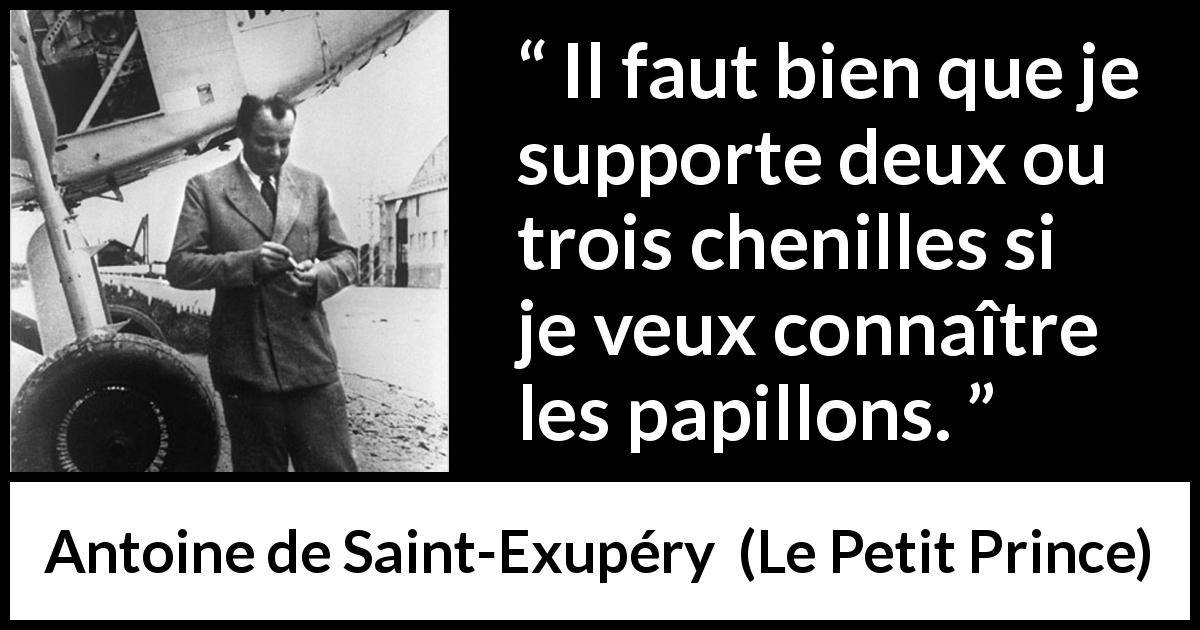 Citation d'Antoine de Saint-Exupéry sur compromis tirée du Petit Prince - Il faut bien que je supporte deux ou trois chenilles si je veux connaître les papillons.