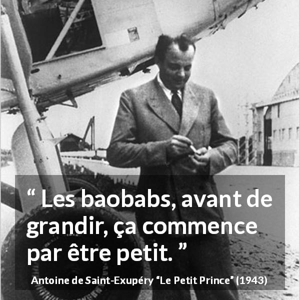 Citation d'Antoine de Saint-Exupéry sur la patience tirée du Petit Prince - Les baobabs, avant de grandir, ça commence par être petit.