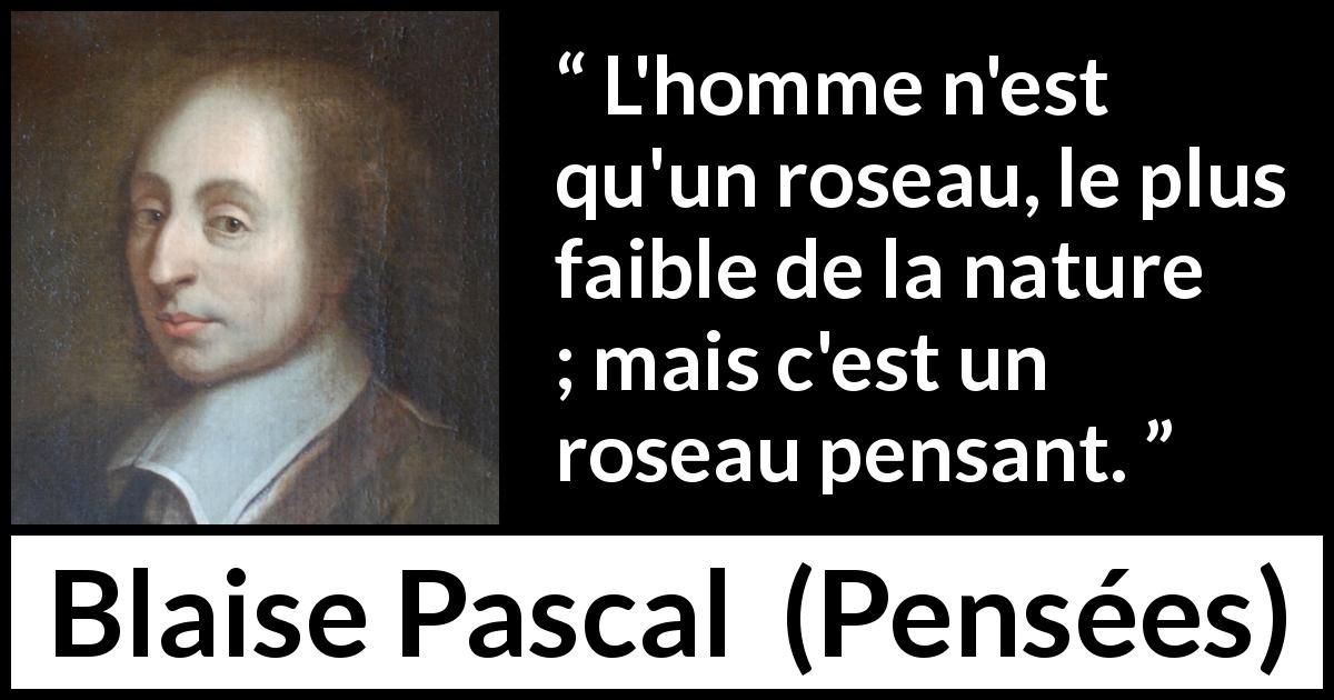 Citation de Blaise Pascal sur la réflexion tirée de Pensées - L'homme n'est qu'un roseau, le plus faible de la nature ; mais c'est un roseau pensant.
