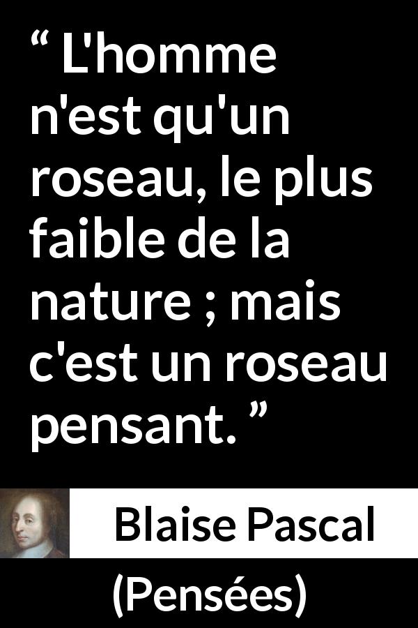 Citation de Blaise Pascal sur la réflexion tirée de Pensées - L'homme n'est qu'un roseau, le plus faible de la nature ; mais c'est un roseau pensant.