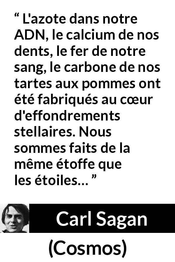 Citation de Carl Sagan sur étoiles tirée de Cosmos - L'azote dans notre ADN, le calcium de nos dents, le fer de notre sang, le carbone de nos tartes aux pommes ont été fabriqués au cœur d'effondrements stellaires. Nous sommes faits de la même étoffe que les étoiles…