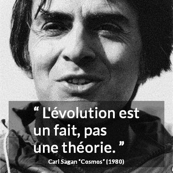 Citation de Carl Sagan sur la théorie tirée de Cosmos - L'évolution est un fait, pas une théorie.