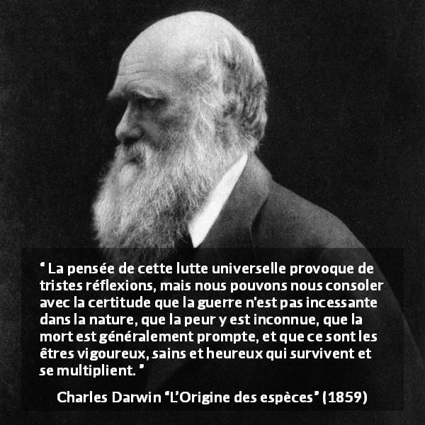 Citation de Charles Darwin sur la nature tirée de L’Origine des espèces - La pensée de cette lutte universelle provoque de tristes réflexions, mais nous pouvons nous consoler avec la certitude que la guerre n'est pas incessante dans la nature, que la peur y est inconnue, que la mort est généralement prompte, et que ce sont les êtres vigoureux, sains et heureux qui survivent et se multiplient.