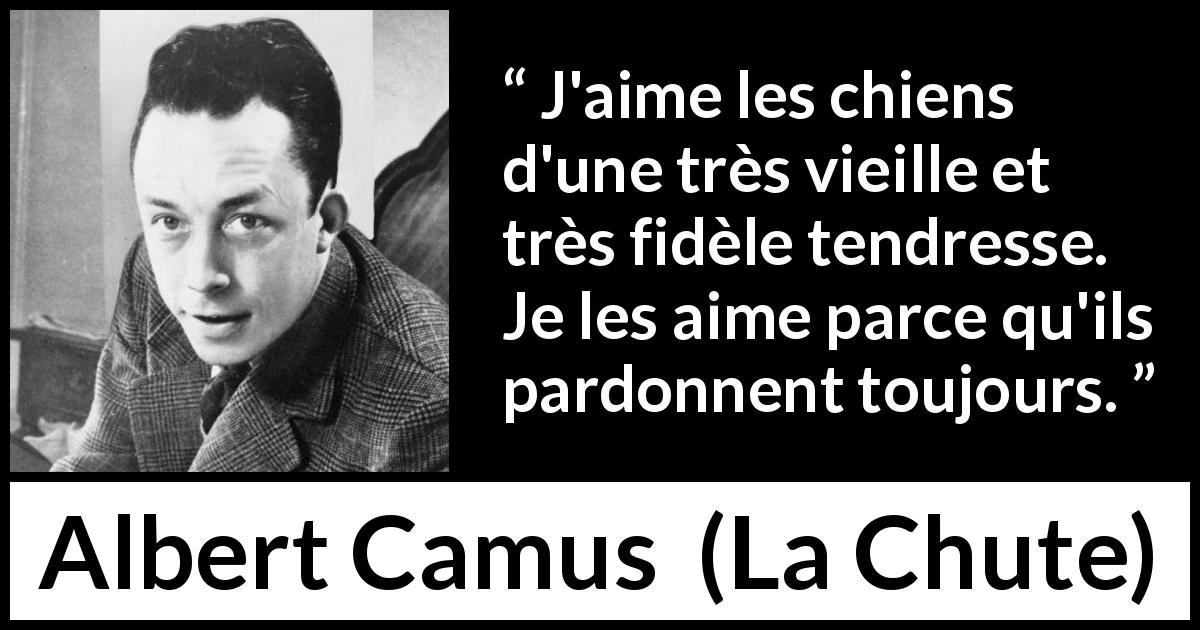 Citation d'Albert Camus sur le pardon tirée de La Chute - J'aime les chiens d'une très vieille et très fidèle tendresse. Je les aime parce qu'ils pardonnent toujours.