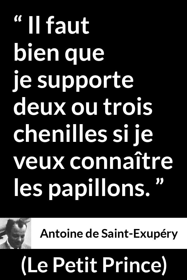 Citation d'Antoine de Saint-Exupéry sur compromis tirée du Petit Prince - Il faut bien que je supporte deux ou trois chenilles si je veux connaître les papillons.