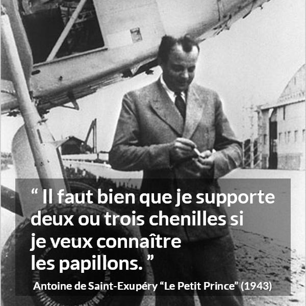 Citation d'Antoine de Saint-Exupéry sur compromis tirée du Petit Prince - Il faut bien que je supporte deux ou trois chenilles si je veux connaître les papillons.