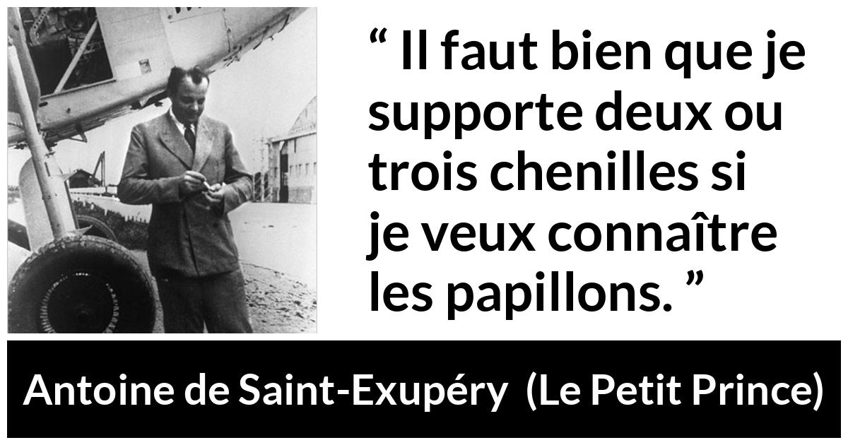 Citation d'Antoine de Saint-Exupéry sur compromis tirée du Petit Prince - Il faut bien que je supporte deux ou trois chenilles si je veux connaître les papillons.