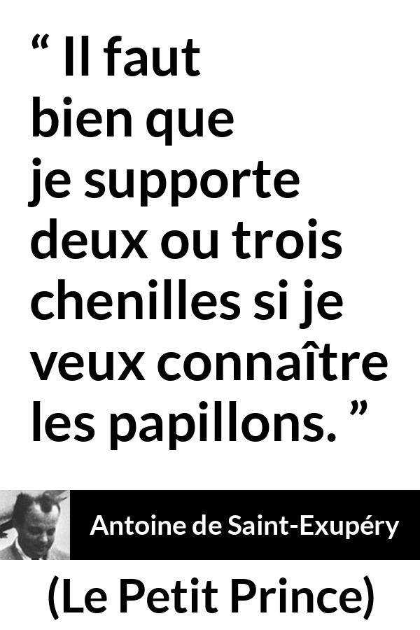 Citation d'Antoine de Saint-Exupéry sur compromis tirée du Petit Prince - Il faut bien que je supporte deux ou trois chenilles si je veux connaître les papillons.