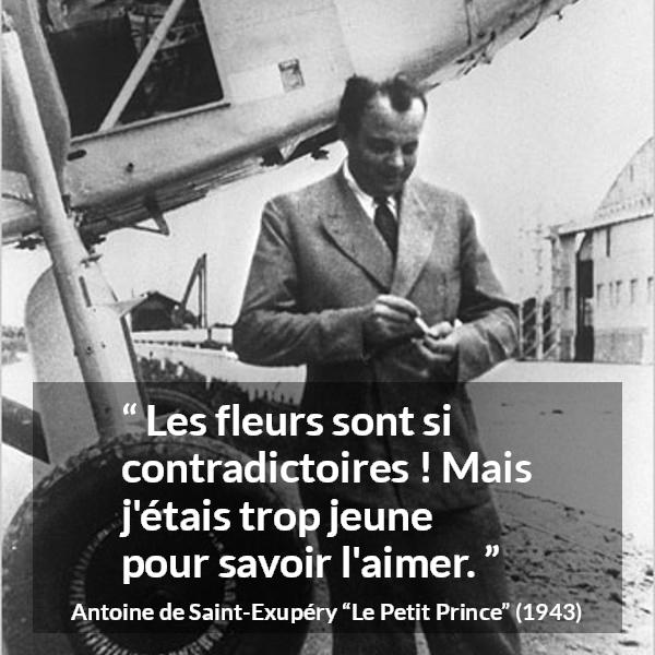 Citation d'Antoine de Saint-Exupéry sur l'amour tirée du Petit Prince - Les fleurs sont si contradictoires ! Mais j'étais trop jeune pour savoir l'aimer.
