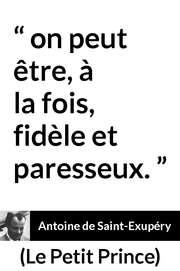 Citation d'Antoine de Saint-Exupéry sur la fidélité tirée du Petit Prince - on peut être, à la fois, fidèle et paresseux.