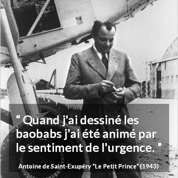 Citation d'Antoine de Saint-Exupéry sur la nécessité tirée du Petit Prince - Quand j'ai dessiné les baobabs j'ai été animé par le sentiment de l'urgence.
