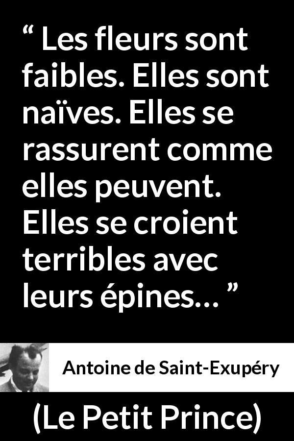 Citation d'Antoine de Saint-Exupéry sur la naïveté tirée du Petit Prince - Les fleurs sont faibles. Elles sont naïves. Elles se rassurent comme elles peuvent. Elles se croient terribles avec leurs épines…