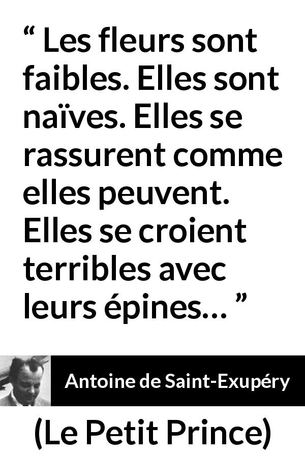 Citation d'Antoine de Saint-Exupéry sur la naïveté tirée du Petit Prince - Les fleurs sont faibles. Elles sont naïves. Elles se rassurent comme elles peuvent. Elles se croient terribles avec leurs épines…