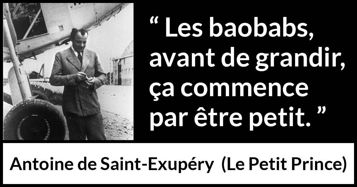 Citation d'Antoine de Saint-Exupéry sur la patience tirée du Petit Prince - Les baobabs, avant de grandir, ça commence par être petit.