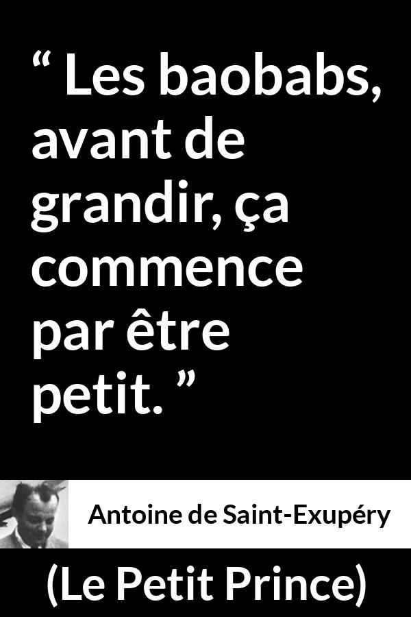 Citation d'Antoine de Saint-Exupéry sur la patience tirée du Petit Prince - Les baobabs, avant de grandir, ça commence par être petit.