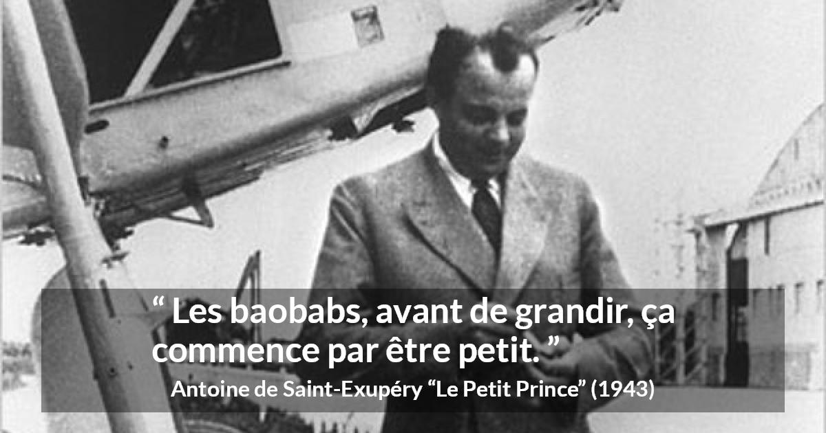 Citation d'Antoine de Saint-Exupéry sur la patience tirée du Petit Prince - Les baobabs, avant de grandir, ça commence par être petit.