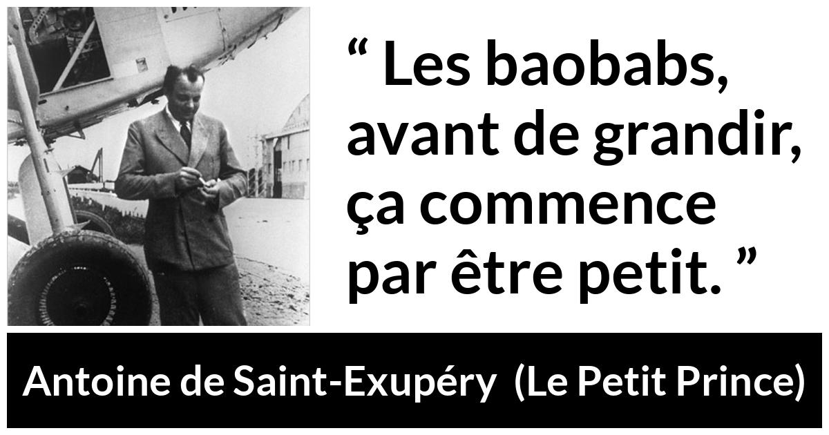 Citation d'Antoine de Saint-Exupéry sur la patience tirée du Petit Prince - Les baobabs, avant de grandir, ça commence par être petit.