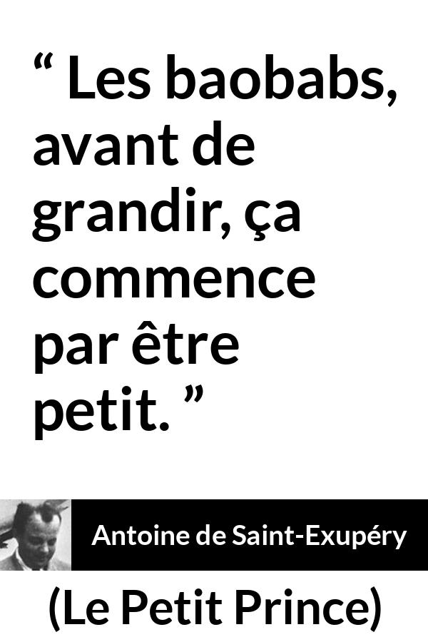 Citation d'Antoine de Saint-Exupéry sur la patience tirée du Petit Prince - Les baobabs, avant de grandir, ça commence par être petit.