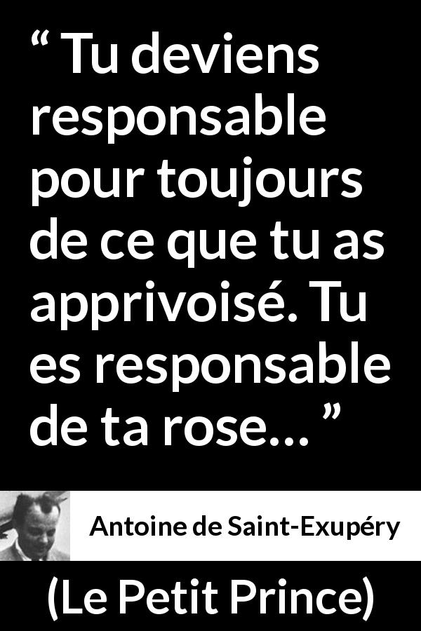 Citation d'Antoine de Saint-Exupéry sur la responsabilité tirée du Petit Prince - Tu deviens responsable pour toujours de ce que tu as apprivoisé. Tu es responsable de ta rose…