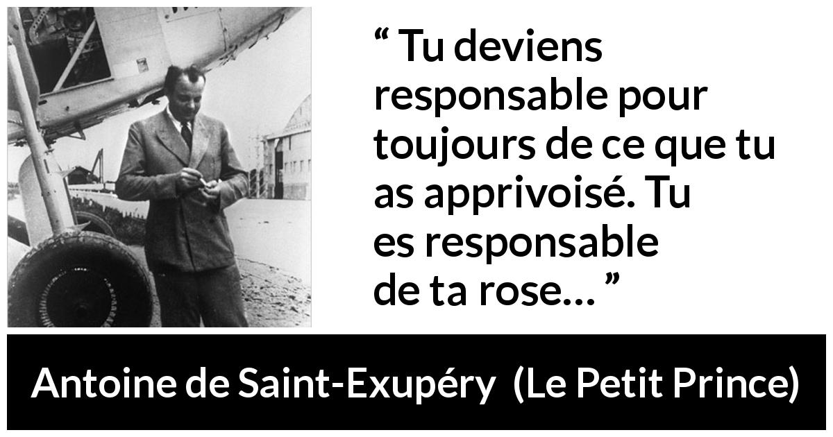 Citation d'Antoine de Saint-Exupéry sur la responsabilité tirée du Petit Prince - Tu deviens responsable pour toujours de ce que tu as apprivoisé. Tu es responsable de ta rose…