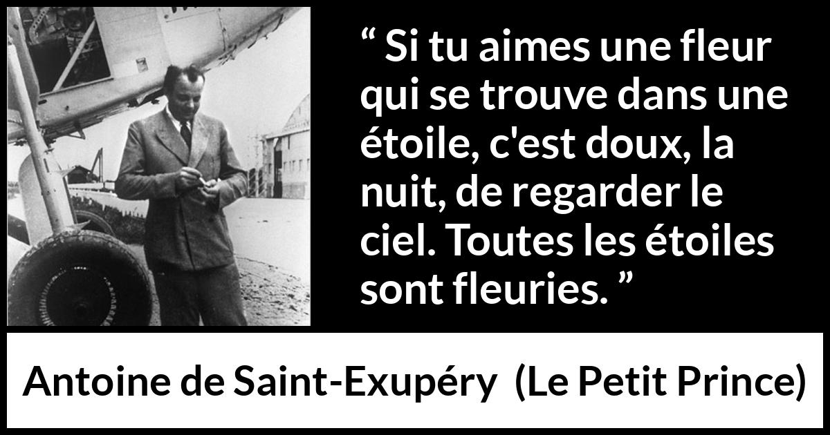 Citation d'Antoine de Saint-Exupéry sur les fleurs tirée du Petit Prince - Si tu aimes une fleur qui se trouve dans une étoile, c'est doux, la nuit, de regarder le ciel. Toutes les étoiles sont fleuries.