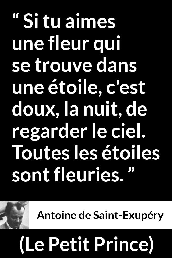 Citation d'Antoine de Saint-Exupéry sur les fleurs tirée du Petit Prince - Si tu aimes une fleur qui se trouve dans une étoile, c'est doux, la nuit, de regarder le ciel. Toutes les étoiles sont fleuries.