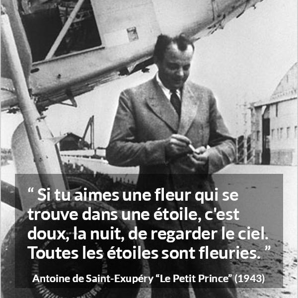 Citation d'Antoine de Saint-Exupéry sur les fleurs tirée du Petit Prince - Si tu aimes une fleur qui se trouve dans une étoile, c'est doux, la nuit, de regarder le ciel. Toutes les étoiles sont fleuries.