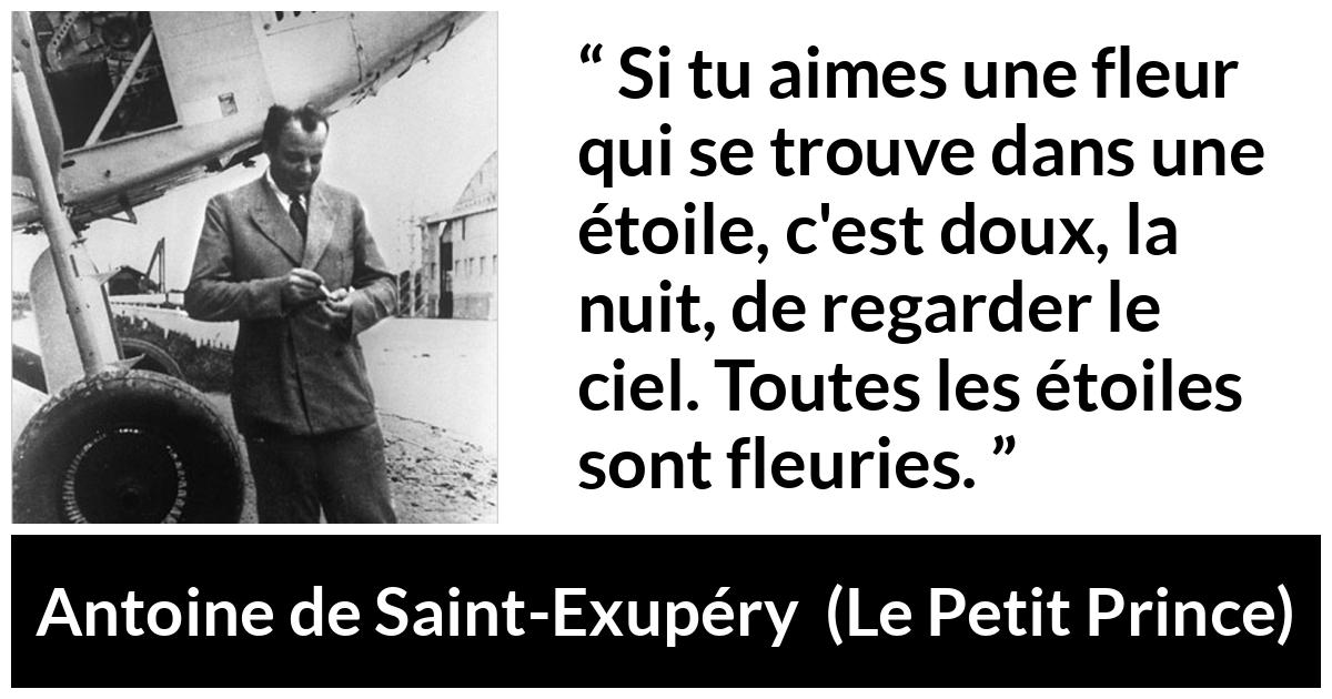 Citation d'Antoine de Saint-Exupéry sur les fleurs tirée du Petit Prince - Si tu aimes une fleur qui se trouve dans une étoile, c'est doux, la nuit, de regarder le ciel. Toutes les étoiles sont fleuries.