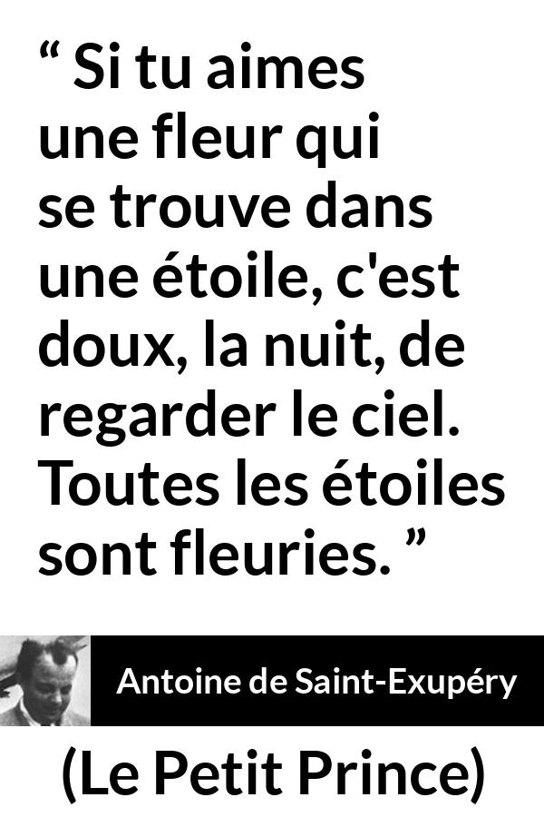 Citation d'Antoine de Saint-Exupéry sur les fleurs tirée du Petit Prince - Si tu aimes une fleur qui se trouve dans une étoile, c'est doux, la nuit, de regarder le ciel. Toutes les étoiles sont fleuries.