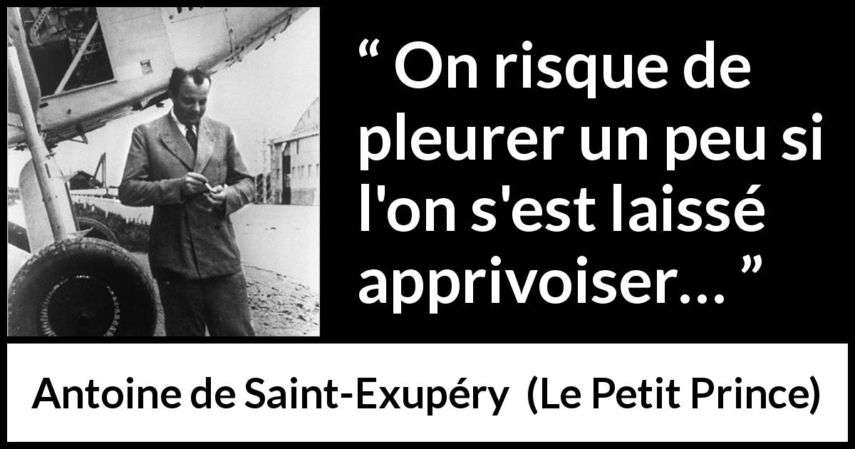 Citation d'Antoine de Saint-Exupéry sur pleurer tirée du Petit Prince - On risque de pleurer un peu si l'on s'est laissé apprivoiser…