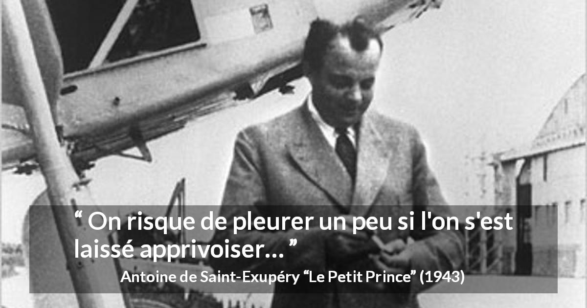 Citation d'Antoine de Saint-Exupéry sur pleurer tirée du Petit Prince - On risque de pleurer un peu si l'on s'est laissé apprivoiser…