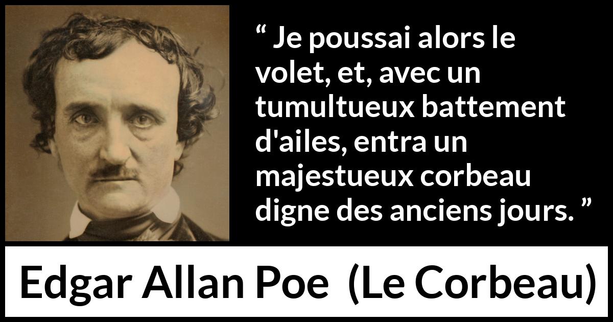Citation d'Edgar Allan Poe sur oiseaux tirée du Corbeau - Je poussai alors le volet, et, avec un tumultueux battement d'ailes, entra un majestueux corbeau digne des anciens jours.