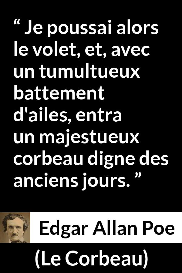 Citation d'Edgar Allan Poe sur oiseaux tirée du Corbeau - Je poussai alors le volet, et, avec un tumultueux battement d'ailes, entra un majestueux corbeau digne des anciens jours.