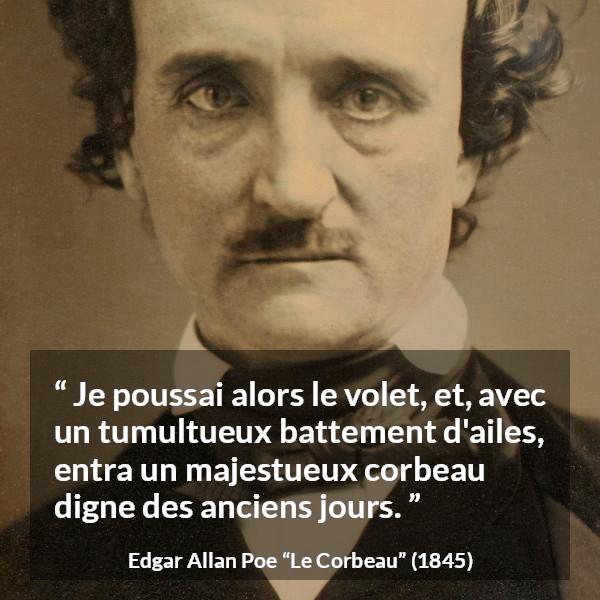 Citation d'Edgar Allan Poe sur oiseaux tirée du Corbeau - Je poussai alors le volet, et, avec un tumultueux battement d'ailes, entra un majestueux corbeau digne des anciens jours.
