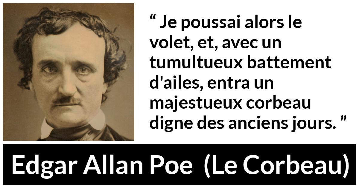 Citation d'Edgar Allan Poe sur oiseaux tirée du Corbeau - Je poussai alors le volet, et, avec un tumultueux battement d'ailes, entra un majestueux corbeau digne des anciens jours.
