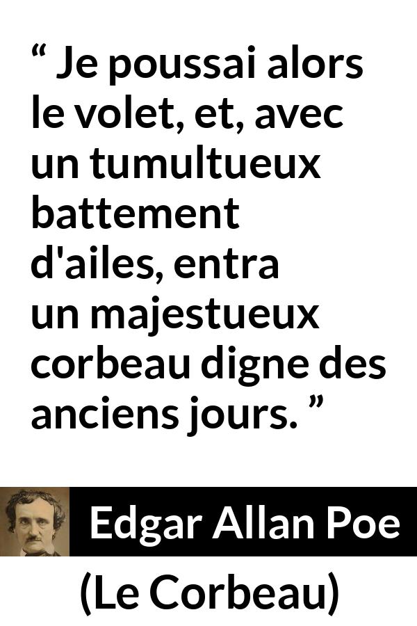 Citation d'Edgar Allan Poe sur oiseaux tirée du Corbeau - Je poussai alors le volet, et, avec un tumultueux battement d'ailes, entra un majestueux corbeau digne des anciens jours.