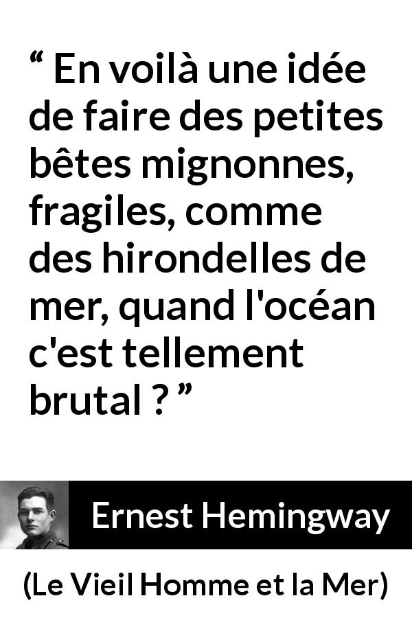 Citation d'Ernest Hemingway sur la brutalité tirée du Vieil Homme et la Mer - En voilà une idée de faire des petites bêtes mignonnes, fragiles, comme des hirondelles de mer, quand l'océan c'est tellement brutal ?