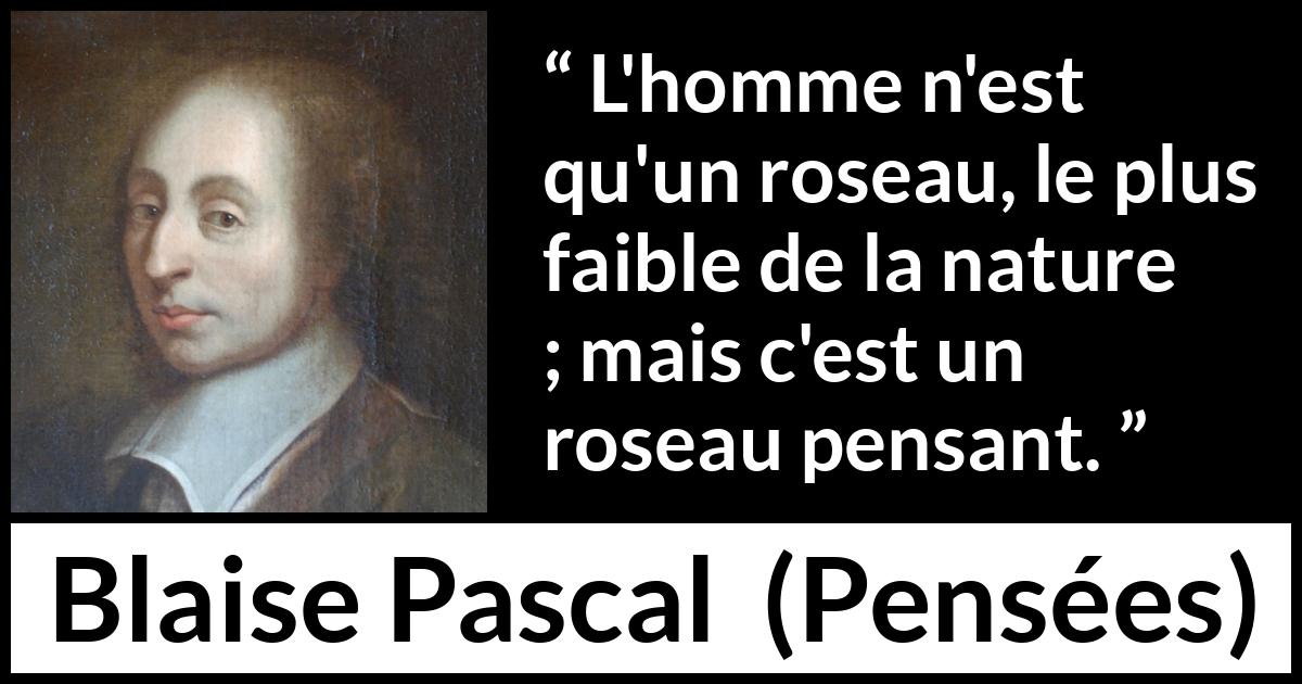 Citation de Blaise Pascal sur la réflexion tirée de Pensées - L'homme n'est qu'un roseau, le plus faible de la nature ; mais c'est un roseau pensant.