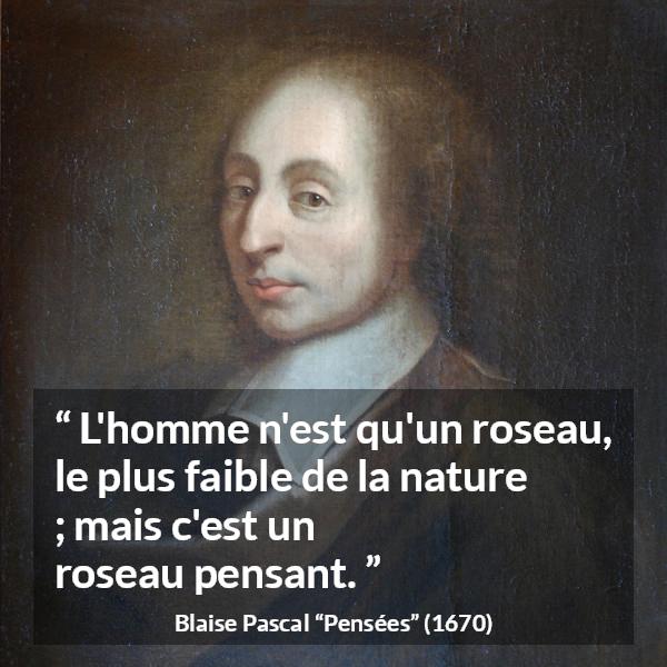 Citation de Blaise Pascal sur la réflexion tirée de Pensées - L'homme n'est qu'un roseau, le plus faible de la nature ; mais c'est un roseau pensant.