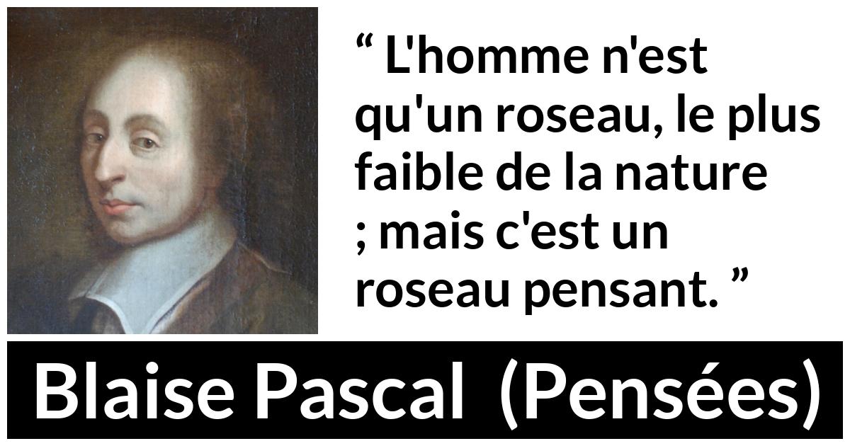 Citation de Blaise Pascal sur la réflexion tirée de Pensées - L'homme n'est qu'un roseau, le plus faible de la nature ; mais c'est un roseau pensant.